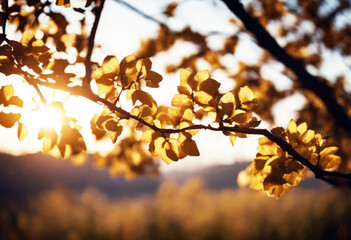 'tree growth arrow business investment green success financial growing concept advice chart background money graph environment shape invest plant white agriculture leaf wise ecology fund finance'