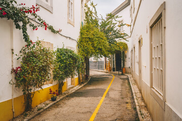 Narrow street in Tavira, Portugal, with vibrant greenery and flowers against white and yellow buildings...