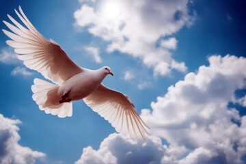 'white sky clouds blue dove flying light ray sunbeam wing symbol animal bird feather freedom pet peace pigeon widener concept idea religion tranquil purity1 spirituality hope free homing grace'