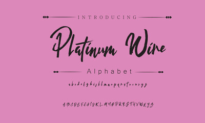 Platinum Wire Signature Font Calligraphy Logotype Script Brush Font Type Font lettering handwritten