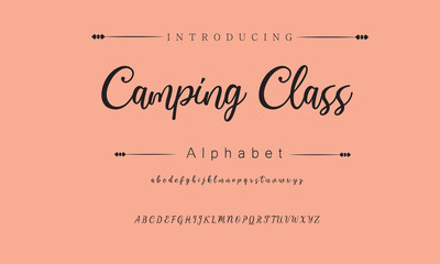 Camping Class Signature Font Calligraphy Logotype Script Brush Font Type Font lettering handwritten