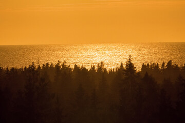 Beautiful seaside landscape. Top view of the sea through the coastal forests covered with fog and illuminated by the rays of the setting sun