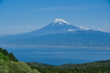 Naklejka na ściany i meble 伊豆山稜トレイルから見た富士山
