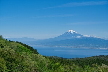 Fototapeta premium 伊豆山稜トレイルから見た富士山