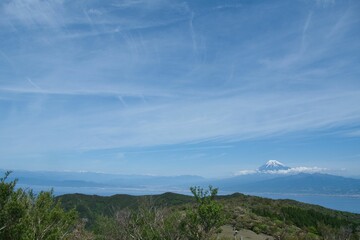 伊豆山稜トレイルから見た富士山