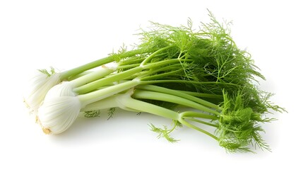 Fennel on a white background , fresh fennel bulb isolated on white background ai generated 