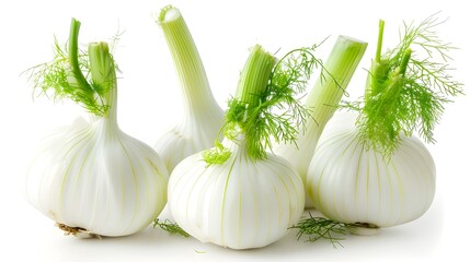 Fennel on a white background , fresh fennel bulb isolated on white background ai generated 