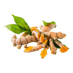 Fresh turmeric root isolated on transparent background