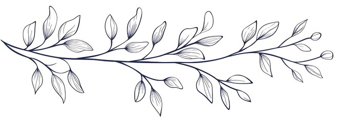 hand drawn flower