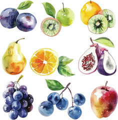 Watercolor fruits clipart, collection of fruit illustrations, white background