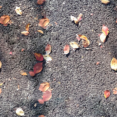 地面に落ちた枯れ葉のベクターイラスト、シームレス、背景素材