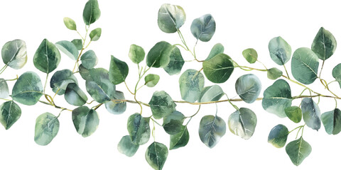Watercolor eucalyptus leaves garland isolated on white background