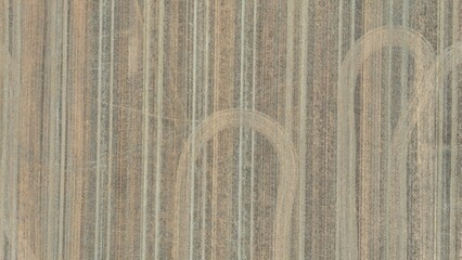 Aerial view of a farm paddock with tyre tracks running through it - obrazy, fototapety, plakaty
