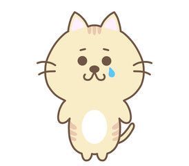 涙を流すねこ