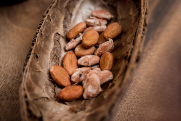 Ingredients for making handmade chocolates and candies in a workshop