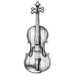 Violin with floral ornament on a white background. Vector illustration.