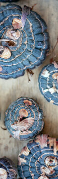 Gladioli bulbs on a wooden table. Gladioli bulbs in the spring before planting. Seed material for gladioli of different sizes and colors. Top view close-up.