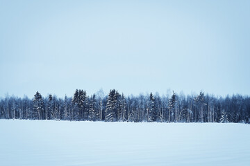 Morning by a field of rural Toten, Norway, in winter.