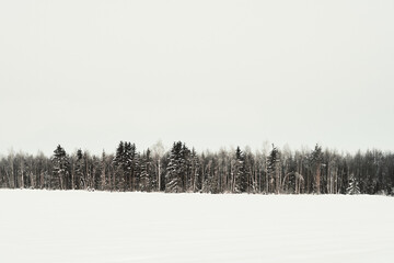 Morning by a field of rural Toten, Norway, in winter.