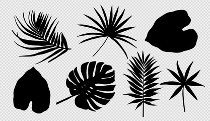 Silhouettes of various tropical leaves and plants isolated on a transparent background. Botanical objects for creating various patterns or designs.