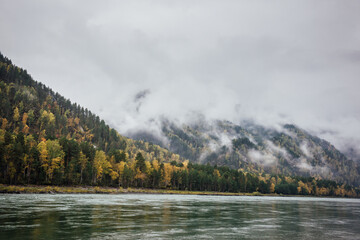 Thick clouds float over an autumn wooded mountain valley with a turquoise river. Morning fog over the river in the Altai mountains and forest of yellow birches and green firs