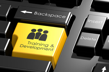 Training and development word on black keyboard - 798628481
