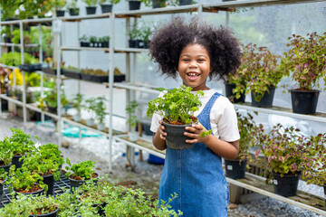 Portrait of African kid is choosing vegetable and parsley herb plant from the local garden center...