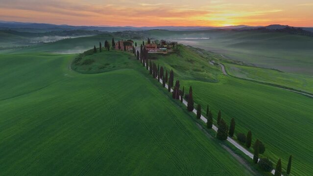 Typical Tuscany aerial landscape of Cypress tree road and farmland country at sunrise. Morning view of Tuscany countryside with  green field and light fog, amazing Italy