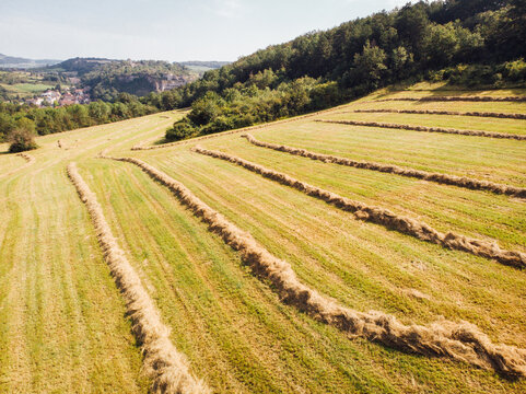 Paysage agricole avec des bottes de foin dans un pr&eacute;. Bottes de paille dans la campagne fran&ccedil;aise. Paysage campagne de Bourgogne. &eacute;t&eacute; en Bourgogne. Des pr&eacute;s verts en &eacute;t&eacute;. Agriculture en France