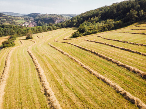 Vue a&eacute;rienne d'andains. Andainage dans les pr&eacute;s. rang&eacute;es de fourrage s&eacute;chant dans un pr&eacute;. Agriculture en Bourgogne. S&eacute;chage d'herbes fauch&eacute;es. Fauchage