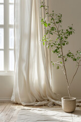A white curtain is positioned on the right side, next to an indoor plant in the front view, against a light background devoid of furniture.
