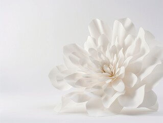 white paper flowers wallpaper on white background, spring summer background, floral design elements