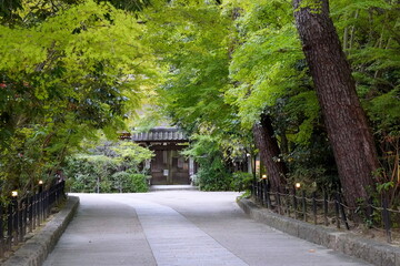 世界遺産　京都　宇治上神社