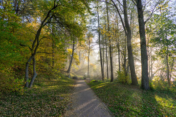 Naklejka premium Autumn foggy landscape: a small square near Lake Naroch, Belarus