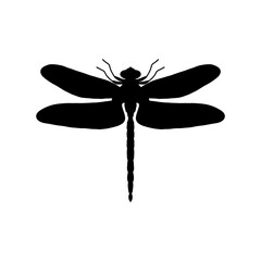 dragonfly black and white silhouette vector illustration. black and white Realistic hand drawing of dragonfly insect on white background