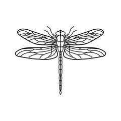 Black Dragonfly Sign Symbol Icon Logo Vector. Dragonfly outline Isolated dragonfly on white background