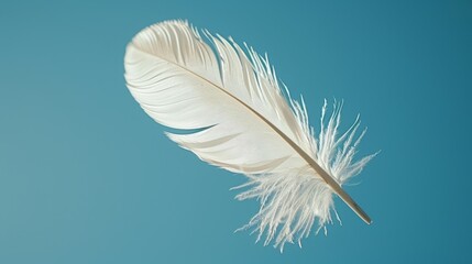   A white feather drifting in clear air against a blue sky background