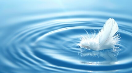   A pristine white feather hovers above still waters, its tip delicately touching a solitary droplet