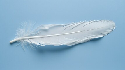   A white feather atop a light blue surface, adjacent to a bird's wing-like object