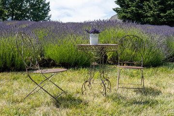 Wicker table with chairs in the middle of lavender fields and a bouquet of lavender in a pot