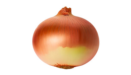 onion isolated on white - obrazy, fototapety, plakaty