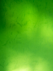 Green Shadow Abstract Background Overlay Leaf Natural blur Cement Wall Floor Beige Mockup Product Cosmetic Summer Tropical Nature Presentation Frame Template Eco Backdrop Environment Platform.