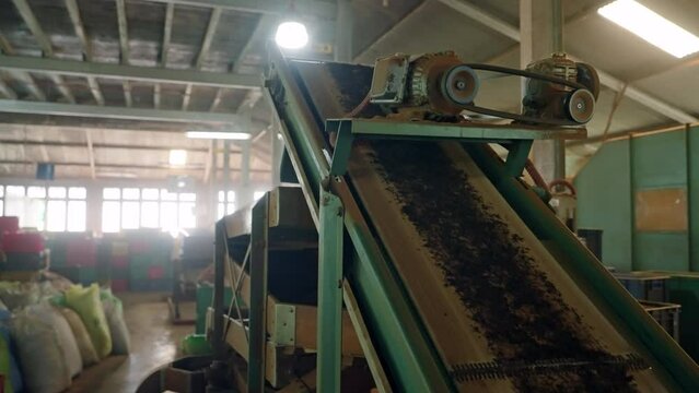 Automated tea leaf sifter separates stems, sorts grade on conveyor inside factory. Processed leaves travel along production line in industrial setting, tea manufacturing workflow presented. Slowmo