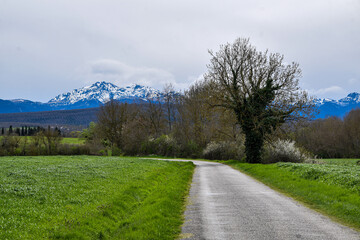 Fototapeta na wymiar lonely road towards snowy mountains