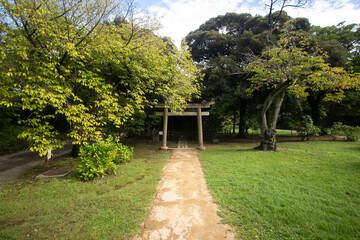 Obraz premium The Gardens of Hamarikyu are a public park in Chūō, Tokyo, Japan. Located at the mouth of the Sumida River they are surrounded by modern buildings.