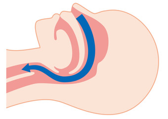 睡眠時の正常な呼吸