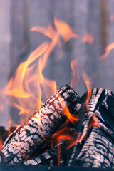 Textured fire for barbecue, close-up