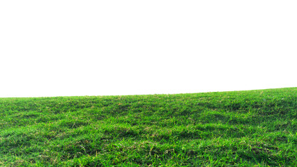green grass field isolated on white background ,fresh green grass lawn isolated on white background