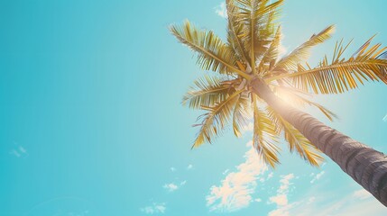Fototapeta na wymiar Bottom up view of palm tree with blue sky in summer. Summer vibes. Palm tree with green leaves at tropical beach. Island environment in summer. Summer travel background.