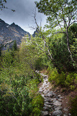 Droga trekkingowa w górach, park krajobrazowy.